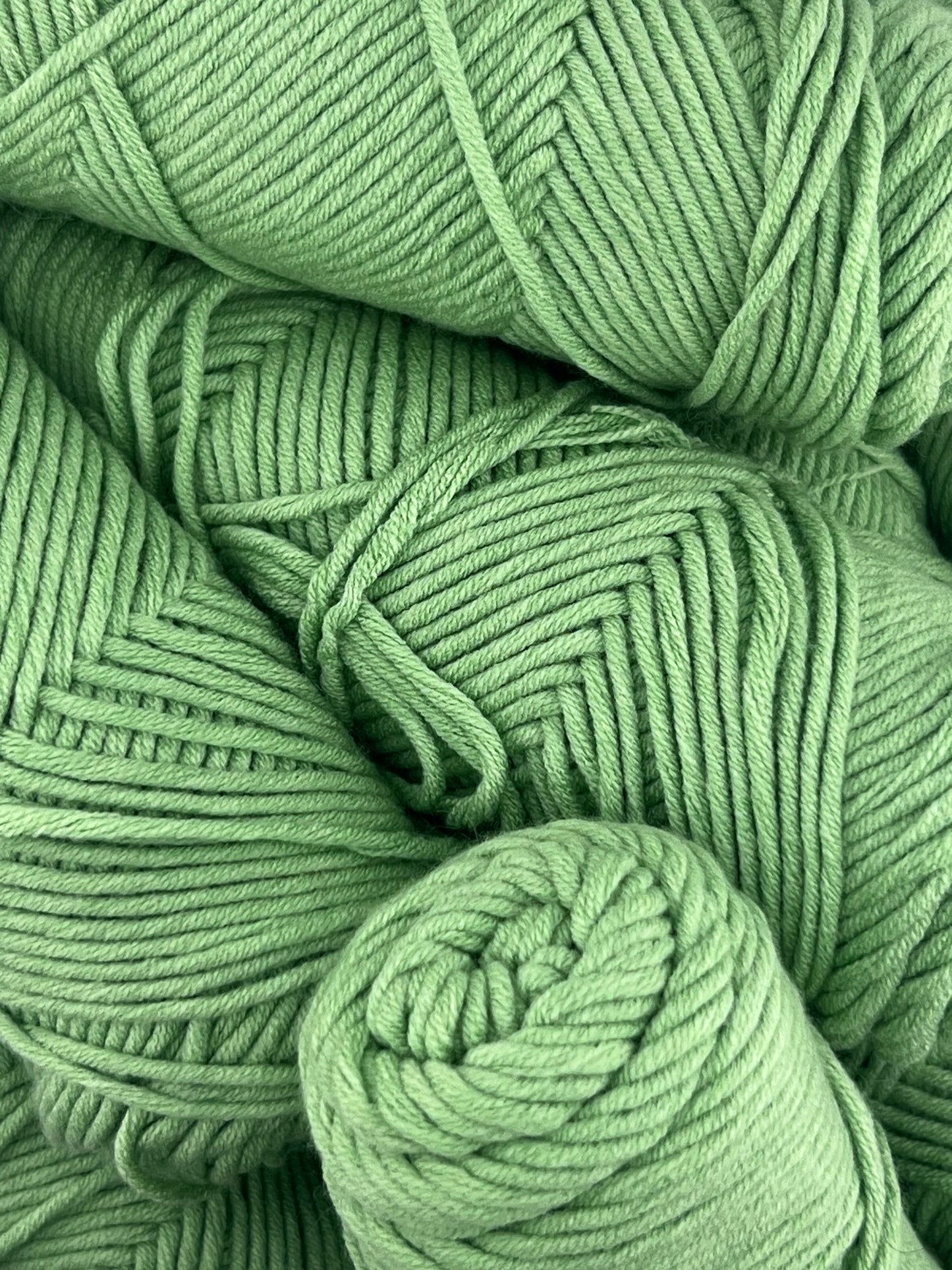 Spring Fern