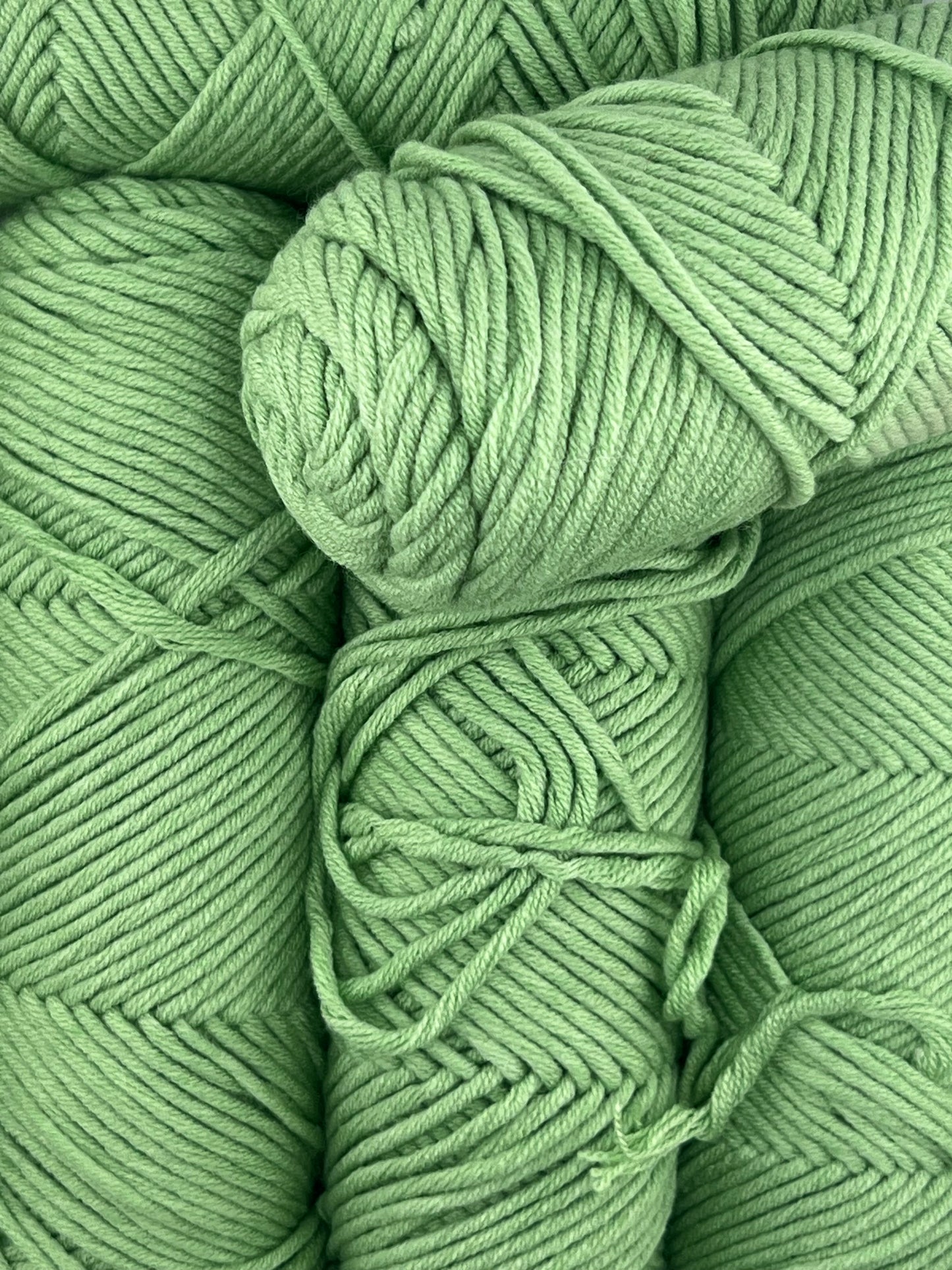 Spring Fern