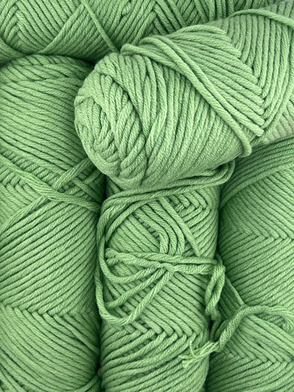 Spring Fern